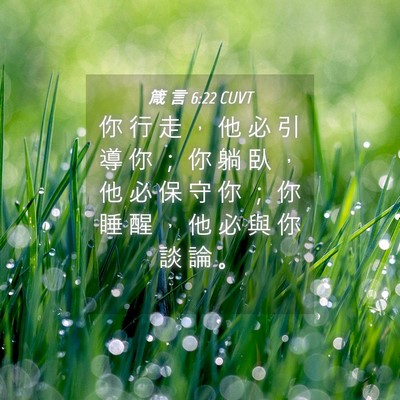 Picture 04 - 箴 言 6:22 CUVT - 你 行 走 ， 他 必 引 導 你 ； 你 躺 - Bible Verse Picture