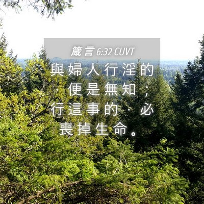 Picture 04 - 箴 言 6:32 CUVT - 與 婦 人 行 淫 的 ， 便 是 無 知 ； - Bible Verse Picture
