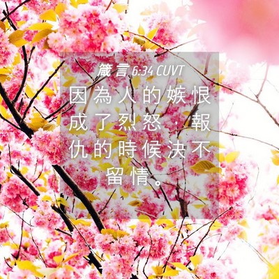 Picture 04 - 箴 言 6:34 CUVT - 因 為 人 的 嫉 恨 成 了 烈 怒 ， 報 - Bible Verse Picture
