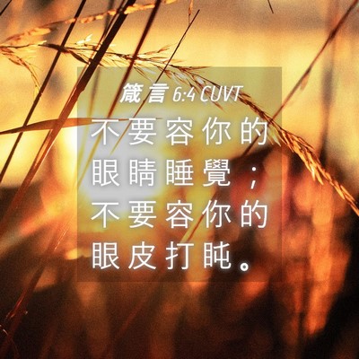 Picture 04 - 箴 言 6:4 CUVT - 不 要 容 你 的 眼 睛 睡 覺 ； 不 要 - Bible Verse Picture