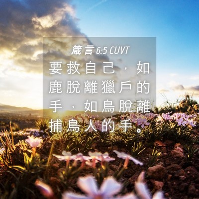 Picture 04 - 箴 言 6:5 CUVT - 要 救 自 己 ， 如 鹿 脫 離 獵 戶 的 - Bible Verse Picture