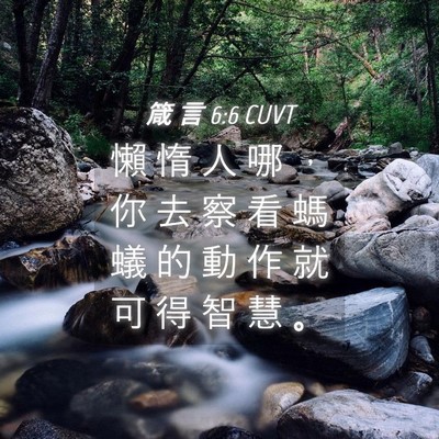 Picture 04 - 箴 言 6:6 CUVT - 懶 惰 人 哪 ， 你 去 察 看 螞 蟻 的 - Bible Verse Picture