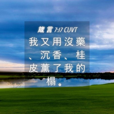 Picture 04 - 箴 言 7:17 CUVT - 我 又 用 沒 藥 、 沉 香 、 桂 皮 薰 - Bible Verse Picture