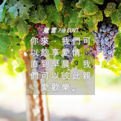 Picture 04 - 箴 言 7:18 CUVT - 你 來 ， 我 們 可 以 飽 享 愛 情 ， - Bible Verse Picture