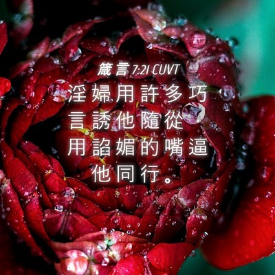 Picture 04 - 箴 言 7:21 CUVT - 淫 婦 用 許 多 巧 言 誘 他 隨 從 ， - Bible Verse Picture