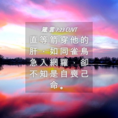 Picture 04 - 箴 言 7:23 CUVT - 直 等 箭 穿 他 的 肝 ， 如 同 雀 鳥 - Bible Verse Picture