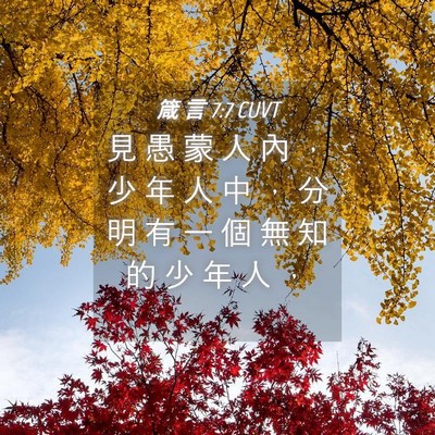 Picture 04 - 箴 言 7:7 CUVT - 見 愚 蒙 人 內 ， 少 年 人 中 ， 分 - Bible Verse Picture