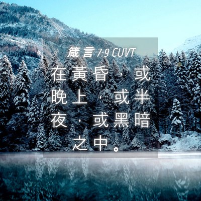 Picture 04 - 箴 言 7:9 CUVT - 在 黃 昏 ， 或 晚 上 ， 或 半 夜 ， - Bible Verse Picture
