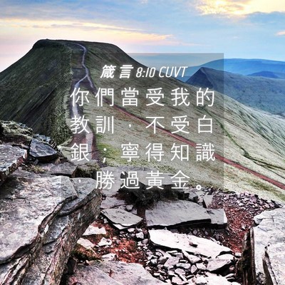 Picture 04 - 箴 言 8:10 CUVT - 你 們 當 受 我 的 教 訓 ， 不 受 白 - Bible Verse Picture