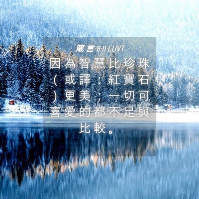 Picture 04 - 箴 言 8:11 CUVT - 因 為 智 慧 比 珍 珠 （ 或 譯 ： 紅 - Bible Verse Picture
