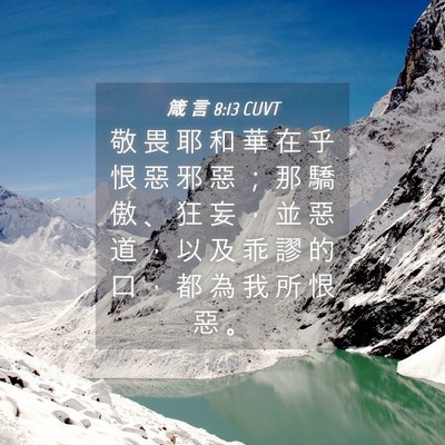 Picture 04 - 箴 言 8:13 CUVT - 敬 畏 耶 和 華 在 乎 恨 惡 邪 惡 ； - Bible Verse Picture