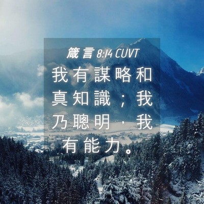 Picture 04 - 箴 言 8:14 CUVT - 我 有 謀 略 和 真 知 識 ； 我 乃 聰 - Bible Verse Picture