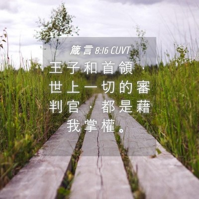 Picture 04 - 箴 言 8:16 CUVT - 王 子 和 首 領 ， 世 上 一 切 的 審 - Bible Verse Picture