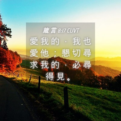 Picture 04 - 箴 言 8:17 CUVT - 愛 我 的 ， 我 也 愛 他 ； 懇 切 尋 - Bible Verse Picture