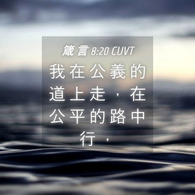 Picture 04 - 箴 言 8:20 CUVT - 我 在 公 義 的 道 上 走 ， 在 公 平 - Bible Verse Picture