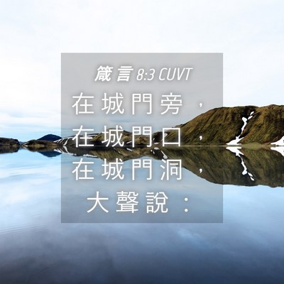 Picture 04 - 箴 言 8:3 CUVT - 在 城 門 旁 ， 在 城 門 口 ， 在 城 - Bible Verse Picture