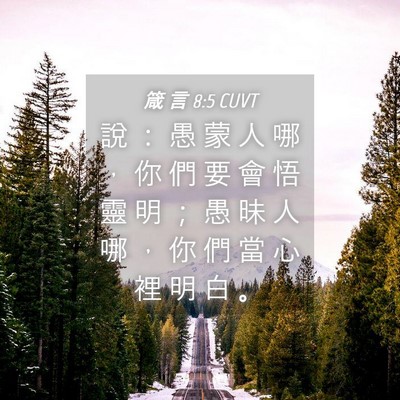 Picture 04 - 箴 言 8:5 CUVT - 說 ： 愚 蒙 人 哪 ， 你 們 要 會 悟 - Bible Verse Picture