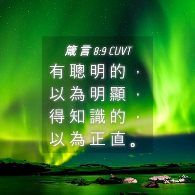 Picture 04 - 箴 言 8:9 CUVT - 有 聰 明 的 ， 以 為 明 顯 ， 得 知 - Bible Verse Picture