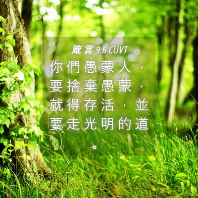 Picture 04 - 箴 言 9:6 CUVT - 你 們 愚 蒙 人 ， 要 捨 棄 愚 蒙 ， - Bible Verse Picture