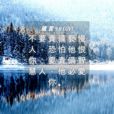Picture 04 - 箴 言 9:8 CUVT - 不 要 責 備 褻 慢 人 ， 恐 怕 他 恨 - Bible Verse Picture