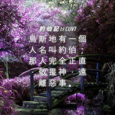 Picture 04 - 約 伯 記 1:1 CUVT - 烏 斯 地 有 一 個 人 名 叫 約 伯 ； - Bible Verse Picture