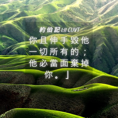 Picture 04 - 約 伯 記 1:11 CUVT - 你 且 伸 手 毀 他 一 切 所 有 的 ； - Bible Verse Picture