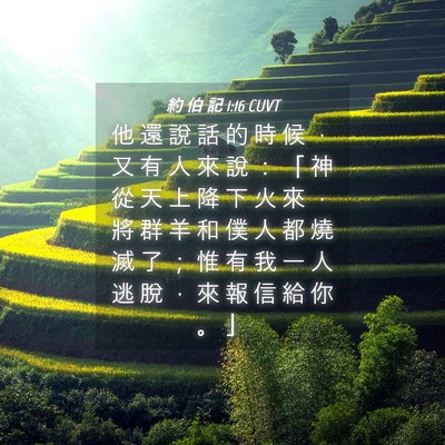 Picture 04 - 約 伯 記 1:16 CUVT - 他 還 說 話 的 時 候 ， 又 有 人 來 - Bible Verse Picture