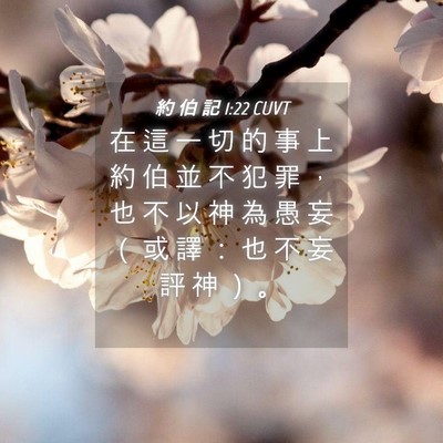 Picture 04 - 約 伯 記 1:22 CUVT - 在 這 一 切 的 事 上 約 伯 並 不 犯 - Bible Verse Picture