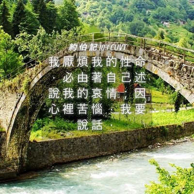 Picture 04 - 約 伯 記 10:1 CUVT - 我 厭 煩 我 的 性 命 ， 必 由 著 自 - Bible Verse Picture