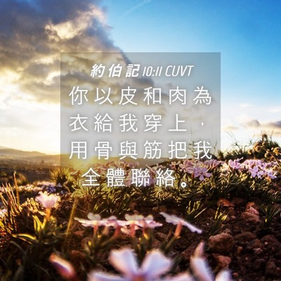 Picture 04 - 約 伯 記 10:11 CUVT - 你 以 皮 和 肉 為 衣 給 我 穿 上 ， - Bible Verse Picture