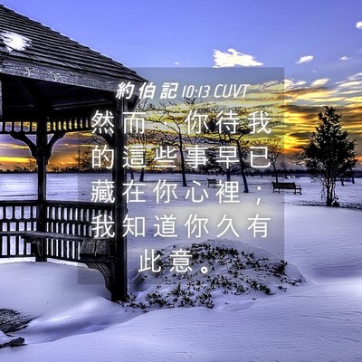 Picture 04 - 約 伯 記 10:13 CUVT - 然 而 ， 你 待 我 的 這 些 事 早 已 - Bible Verse Picture