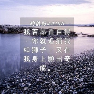 Picture 04 - 約 伯 記 10:16 CUVT - 我 若 昂 首 自 得 ， 你 就 追 捕 我 - Bible Verse Picture