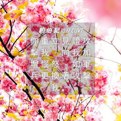 Picture 04 - 約 伯 記 10:17 CUVT - 你 重 立 見 證 攻 擊 我 ， 向 我 加 - Bible Verse Picture