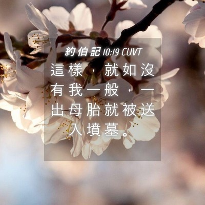 Picture 04 - 約 伯 記 10:19 CUVT - 這 樣 ， 就 如 沒 有 我 一 般 ， 一 - Bible Verse Picture