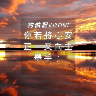 Picture 04 - 約 伯 記 11:13 CUVT - 你 若 將 心 安 正 ， 又 向 主 舉 手 - Bible Verse Picture