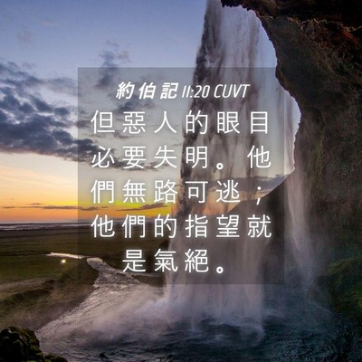 Picture 04 - 約 伯 記 11:20 CUVT - 但 惡 人 的 眼 目 必 要 失 明 。 他 - Bible Verse Picture