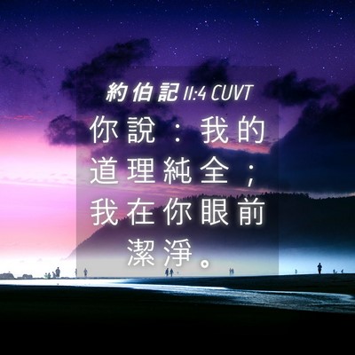 Picture 04 - 約 伯 記 11:4 CUVT - 你 說 ： 我 的 道 理 純 全 ； 我 在 - Bible Verse Picture