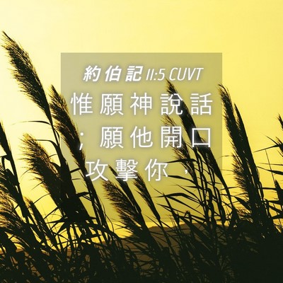Picture 04 - 約 伯 記 11:5 CUVT - 惟 願 神 說 話 ； 願 他 開 口 攻 擊 - Bible Verse Picture