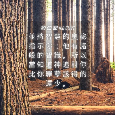 Picture 04 - 約 伯 記 11:6 CUVT - 並 將 智 慧 的 奧 祕 指 示 你 ； 他 - Bible Verse Picture