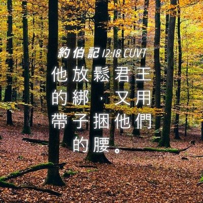Picture 04 - 約 伯 記 12:18 CUVT - 他 放 鬆 君 王 的 綁 ， 又 用 帶 子 - Bible Verse Picture