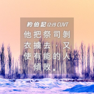 Picture 04 - 約 伯 記 12:19 CUVT - 他 把 祭 司 剝 衣 擄 去 ， 又 使 有 - Bible Verse Picture