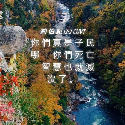Picture 04 - 約 伯 記 12:2 CUVT - 你 們 真 是 子 民 哪 ， 你 們 死 亡 - Bible Verse Picture