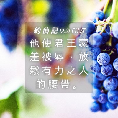 Picture 04 - 約 伯 記 12:21 CUVT - 他 使 君 王 蒙 羞 被 辱 ， 放 鬆 有 - Bible Verse Picture