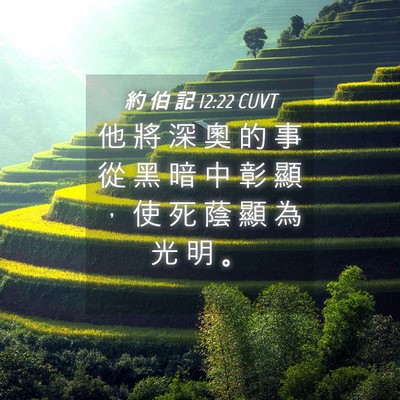 Picture 04 - 約 伯 記 12:22 CUVT - 他 將 深 奧 的 事 從 黑 暗 中 彰 顯 - Bible Verse Picture