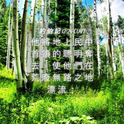 Picture 04 - 約 伯 記 12:24 CUVT - 他 將 地 上 民 中 首 領 的 聰 明 奪 - Bible Verse Picture