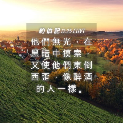Picture 04 - 約 伯 記 12:25 CUVT - 他 們 無 光 ， 在 黑 暗 中 摸 索 ， - Bible Verse Picture