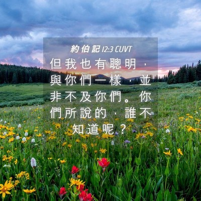 Picture 04 - 約 伯 記 12:3 CUVT - 但 我 也 有 聰 明 ， 與 你 們 一 樣 - Bible Verse Picture