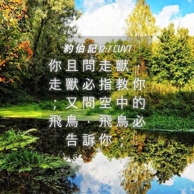 Picture 04 - 約 伯 記 12:7 CUVT - 你 且 問 走 獸 ， 走 獸 必 指 教 你 - Bible Verse Picture
