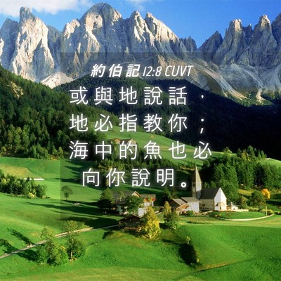 Picture 04 - 約 伯 記 12:8 CUVT - 或 與 地 說 話 ， 地 必 指 教 你 ； - Bible Verse Picture