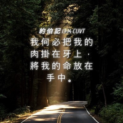 Picture 04 - 約 伯 記 13:14 CUVT - 我 何 必 把 我 的 肉 掛 在 牙 上 ， - Bible Verse Picture